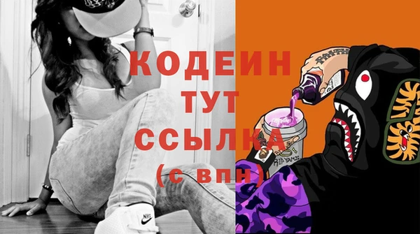 шишки Верея